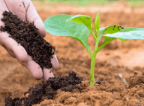 Hóa chất Nông nghiệp là gì? Công ty cung cấp Hóa chất nông nghiệp