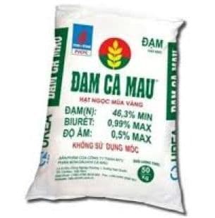 Đạm Cà Mau