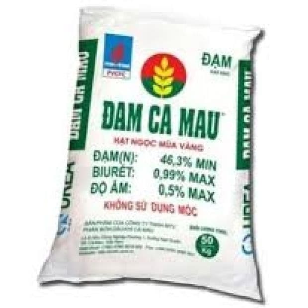 Đạm Cà Mau