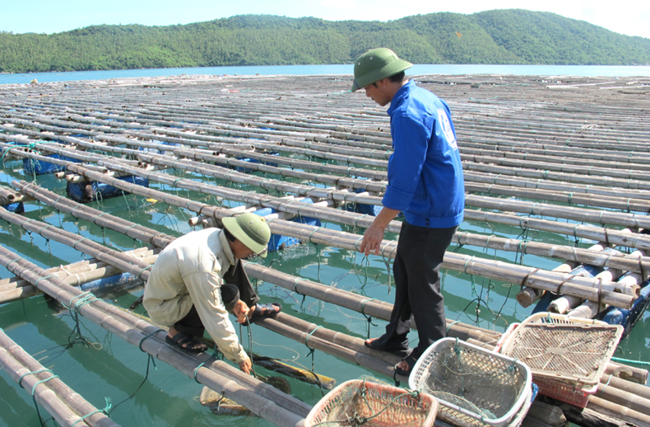 Minh Hiếu - công ty cung cấp Hóa chất ngành thủy sản uy tín, giá rẻ Minh Hiếu - công ty cung cấp Hóa chất ngành thủy sản uy tín, giá rẻ