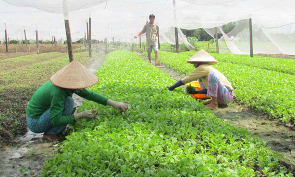Hóa chất nông nghiệp là gì? Hóa chất nông nghiệp là gì?